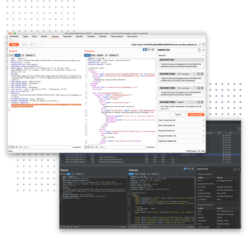 Burp Suite Professional screenshots