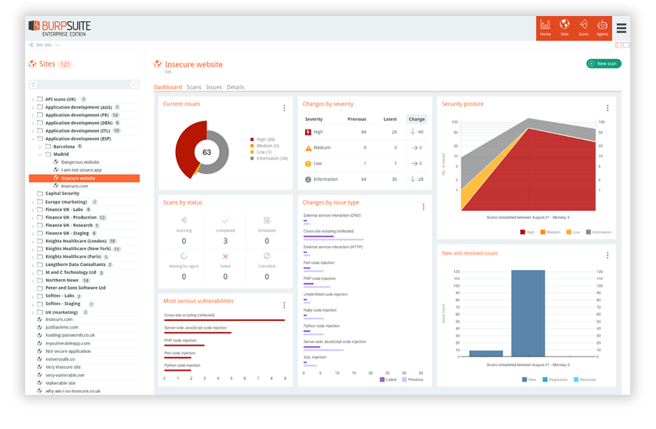 Screenshot of Burp Suite DAST's security reporting